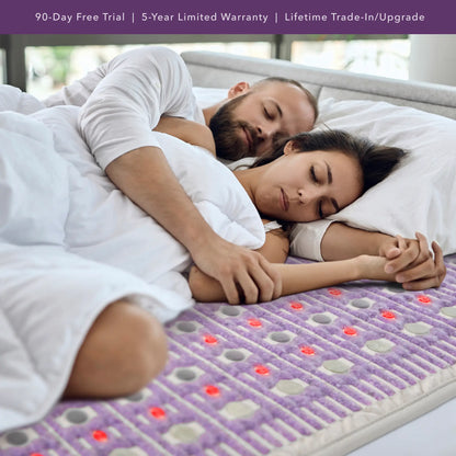 The TAJ Bed Series
