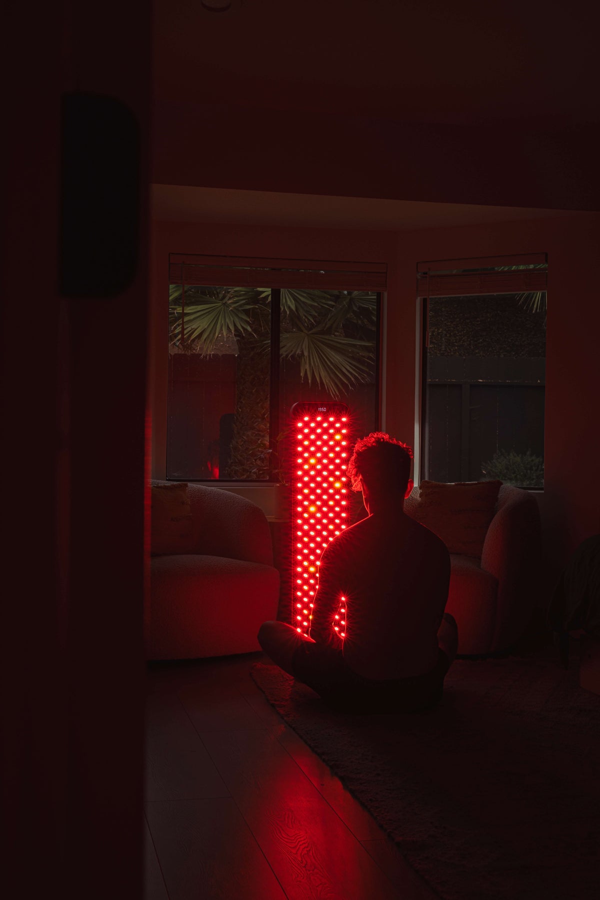 Renew Red Light Large Panel, photo 2
